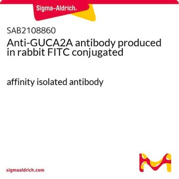 Anti-GUCA2A antibody produced in rabbit FITC conjugated affinity isolated antibody