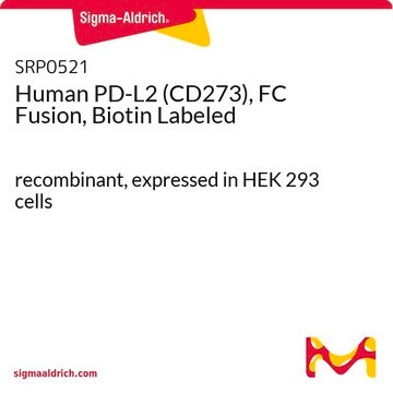 Human PD-L2 (CD273), FC Fusion, Biotin Labeled recombinant, expressed in HEK 293 cells