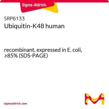 Ubiquitin-K48 human recombinant, expressed in E. coli, &#8805;85% (SDS-PAGE)