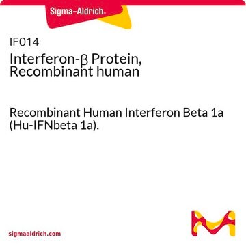 Interferon-&#946; Protein, Recombinant human Recombinant Human Interferon Beta 1a (Hu-IFNbeta 1a).