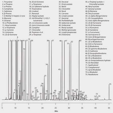 GC Analysis of Cold Pressed Bergamot Essential Oil on SLB&#174;-5ms suitable for GC