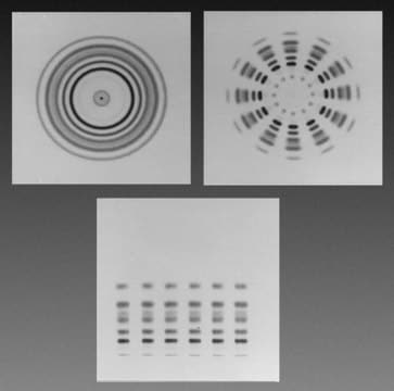 Analtech TLC Uniplates&#8482;: Kieselgelmatrix L × W 10&#160;cm × 20&#160;cm , scored, binder, Organic Polymer, fluorescent indicator