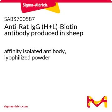 Anti-Rat IgG (H+L)-Biotin antibody produced in sheep affinity isolated antibody, lyophilized powder