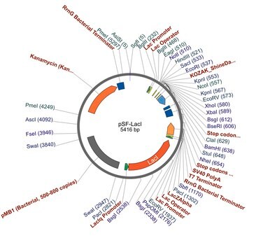 PSF-LACI - LACI PROMOTER BACTERIAL VECTOR plasmid vector for molecular cloning