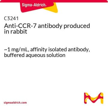 Anti-CCR-7 antibody produced in rabbit ~1&#160;mg/mL, affinity isolated antibody, buffered aqueous solution