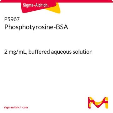 Phosphotyrosine-BSA 2&#160;mg/mL, buffered aqueous solution