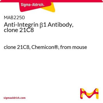 Anti-Integrin &#946;1 Antibody, clone 21C8 clone 21C8, Chemicon&#174;, from mouse