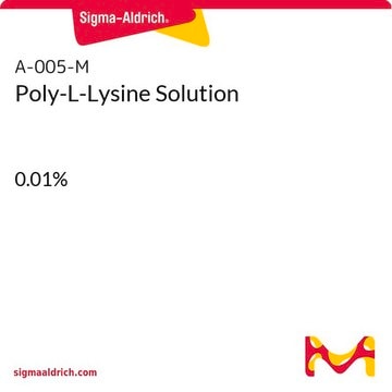 Poly L-lysine,poly L-leucine | Sigma-Aldrich