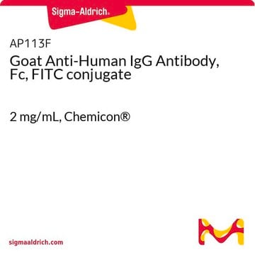 Goat Anti-Human IgG Antibody, Fc, FITC conjugate 2&#160;mg/mL, Chemicon&#174;