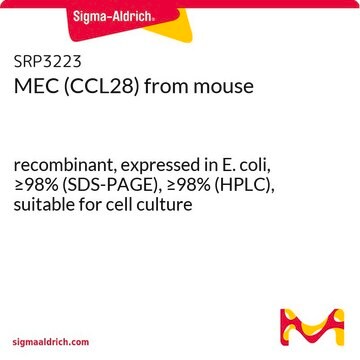 MEC (CCL28) from mouse recombinant, expressed in E. coli, &#8805;98% (SDS-PAGE), &#8805;98% (HPLC), suitable for cell culture