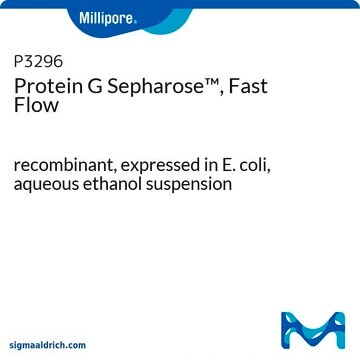 Proteína&#160;G Sepharose&#8482;, flujo rápido recombinant, expressed in E. coli, aqueous ethanol suspension