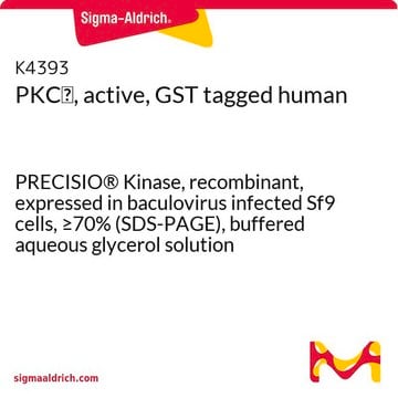 PKC&#953;, active, GST tagged human PRECISIO&#174; Kinase, recombinant, expressed in baculovirus infected Sf9 cells, &#8805;70% (SDS-PAGE), buffered aqueous glycerol solution