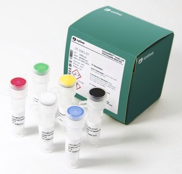 illustra&#8482; Single Cell GenomiPhi&#8482; DNA Amplification Kit Cytiva 29-1080-39, sufficient for 100&#160;reactions sufficient, storage temp.:-70°C