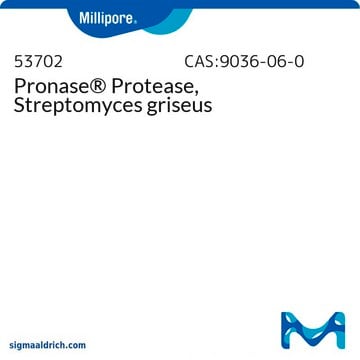 Pronase&#174; Protease, Streptomyces griseus