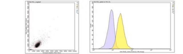 Anti-TACE Antibody, clone D1(A12) clone D1(A12), from human(Recombinant)