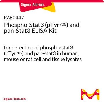 Phospho-Stat3 (pTyr705) and pan-Stat3 ELISA Kit for detection of phospho-stat3 (pTyr705) and pan-stat3 in human, mouse or rat cell and tissue lysates