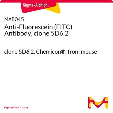 Anticorps anti-fluorescéine (FITC), clone 5D6.2 clone 5D6.2, Chemicon&#174;, from mouse