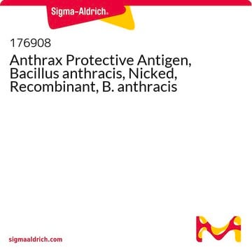 Anthrax-Schutzantigen, Bacillus anthracis, nicked, rekombinant, B. anthracis