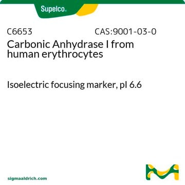 Kohlensäureanhydrase I aus Humanerythrocyten Isoelectric focusing marker, pI&#160;6.6