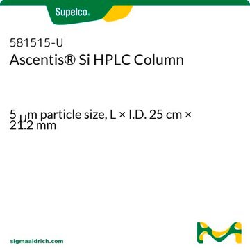 Colonne&nbsp;HPLC Ascentis&#174;&nbsp;Si 5&#160;&#956;m particle size, L × I.D. 25&#160;cm × 21.2&#160;mm