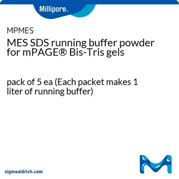 Tampon de charge MES SDS en poudre pour gels Bis-Tris mPAGE&#174; pack of 5&#160;ea (Each packet makes 1 liter of running buffer)