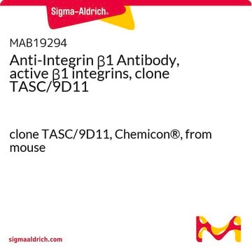 Anticorps anti-intégrines&nbsp;&#946;1, intégrines&nbsp;&#946;1 actives, clone&nbsp;TASC/9D11 clone TASC/9D11, Chemicon&#174;, from mouse