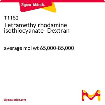 Tetramethylrhodaminisothiocyanat–Dextran average mol wt 65,000-85,000