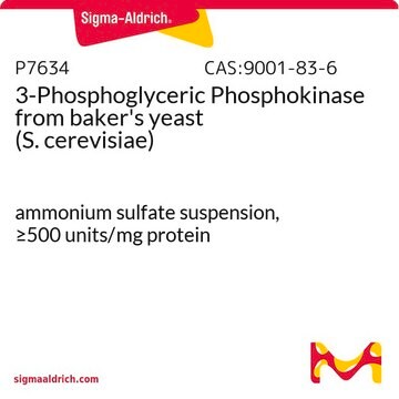 3-Phosphoglycerin-Phosphokinase aus Backhefe (S. cerevisiae) ammonium sulfate suspension, &#8805;500&#160;units/mg protein