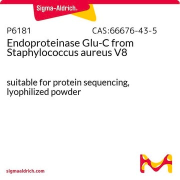 Endoproteinase Glu-C from Staphylococcus aureus V8 suitable for protein sequencing, lyophilized powder