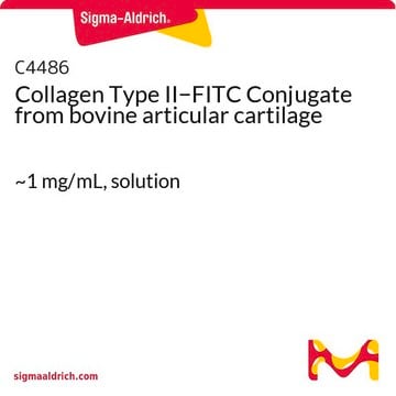 Collagen Type II&#8722;FITC Conjugate from bovine articular cartilage ~1&#160;mg/mL, solution