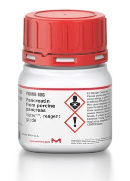 Pancréatine from porcine pancreas Vetec&#8482;, reagent grade