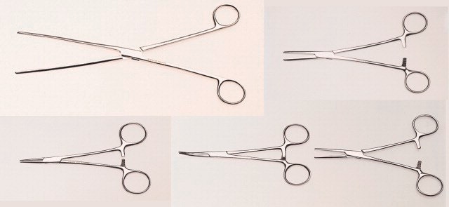 Scissor-handle forceps Specimen, straight, L 10 1/4&#160;in.