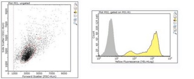 Anti-Tollwutvirus-Antikörper, Klon 1112-1 clone 1112-1, from mouse