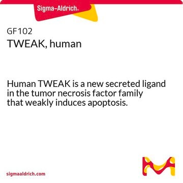 TWEAK, origine humaine Human TWEAK is a new secreted ligand in the tumor necrosis factor family that weakly induces apoptosis.