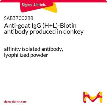 Anti-goat IgG (H+L)-Biotin antibody produced in donkey affinity isolated antibody, lyophilized powder