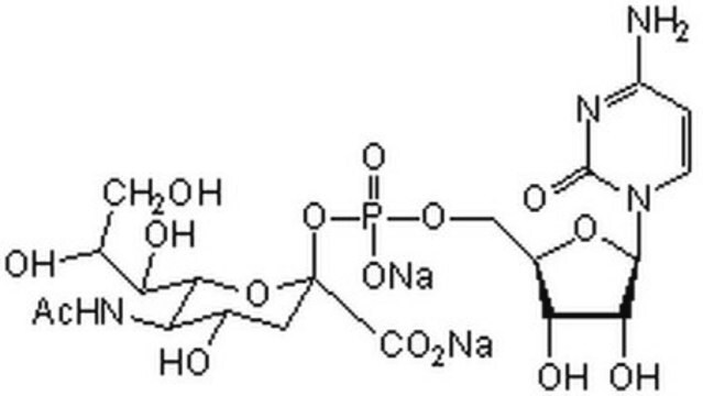 Uncovering A Novel Molecular Mechanism For Scavenging Sialic Acids In Bacteria