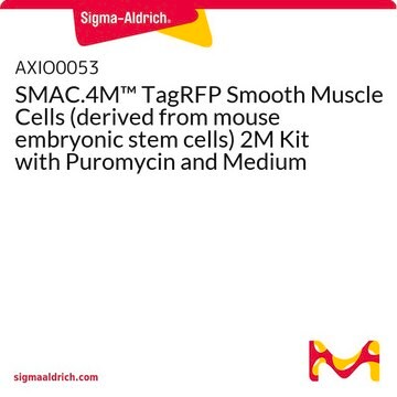 SMAC.4M&#8482; TagRFP Smooth Muscle Cells (derived from mouse embryonic stem cells) 2M Kit with Puromycin and Medium