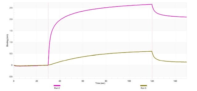 Anti-CYP11A1 Antibody, clone 2M5 ZooMAb&#174; Rabbit Monoclonal recombinant, expressed in HEK 293 cells