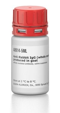 Anti-Rabbit IgG (whole molecule)&#8722;Agarose antibody produced in goat affinity isolated antibody, saline suspension