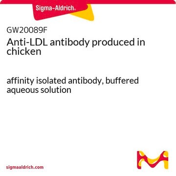 Anti-LDL antibody produced in chicken affinity isolated antibody, buffered aqueous solution