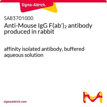 Anti-Mouse IgG F(ab&#8242;)2 antibody produced in rabbit affinity isolated antibody, buffered aqueous solution