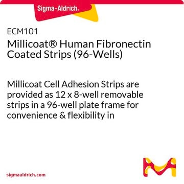 Bandelettes enduites de fibronectine humaine Millicoat&#174; (96&nbsp;puits) Millicoat Cell Adhesion Strips are provided as 12 x 8-well removable strips in a 96-well plate frame for convenience &amp; flexibility in designing assays.