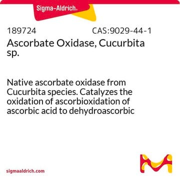 Ascorbatoxidase, Cucurbita sp. Native ascorbate oxidase from Cucurbita species. Catalyzes the oxidation of ascorbioxidation of ascorbic acid to dehydroascorbic acid. Suitable for eliminating interference of ascorbic acid in clinical assays and for determination of ascorbic acid.