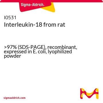 Interleukin-18 from rat &gt;97% (SDS-PAGE), recombinant, expressed in E. coli, lyophilized powder