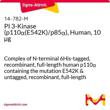 PI 3-Kinase (p110&#945;(E542K)/p85&#945;), Human, 10 &#181;g Complex of N-terminal 6His-tagged, recombinant, full-length human p110&#945; containing the mutation E542K &amp; untagged, recombinant, full-length human p85&#945;. For use in Kinase Assays.