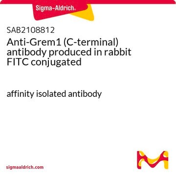 Anti-Grem1 (C-terminal) antibody produced in rabbit FITC conjugated affinity isolated antibody