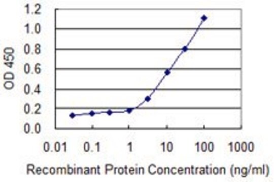 Monoclonal Anti-SNTB2 antibody produced in mouse clone 3F12, purified immunoglobulin, buffered aqueous solution