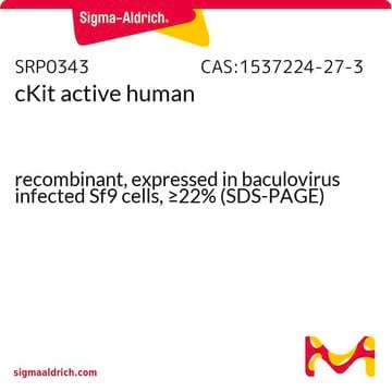 cKit active human recombinant, expressed in baculovirus infected Sf9 cells, &#8805;22% (SDS-PAGE)