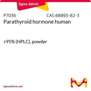 Parathormon &#8805;92% (HPLC), powder