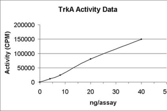 Białko TrkA, aktywne, 10 µg Active, N-terminal His6-tagged recombinant human TrkA, residues 440-end, for use in Kinase Assays.